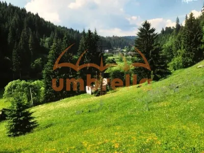 TEREN DE VANZARE 34.201m²/20€ m² IN VARSAG HARGHITA - foto 12