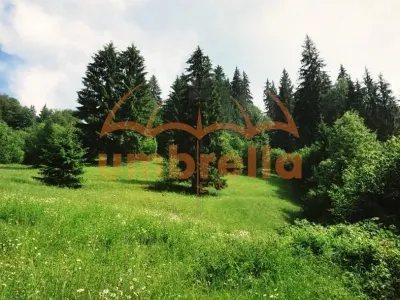 TEREN DE VANZARE 34.201m²/20€ m² IN VARSAG HARGHITA - foto 14