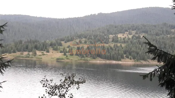 Teren Belis - poza 1