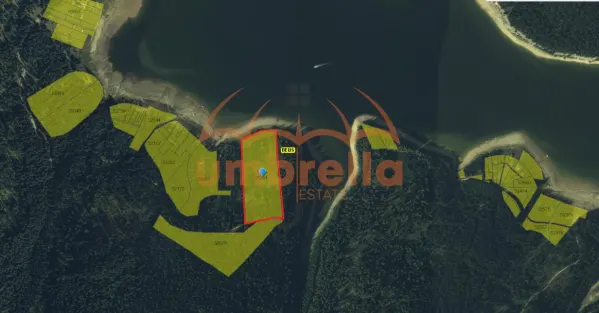 Teren Belis - poza 5