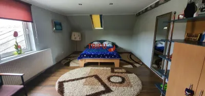 Casa 7 camere 800mp teren si piscina - foto 19