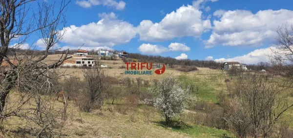 Teren Alba Iulia - poza 2