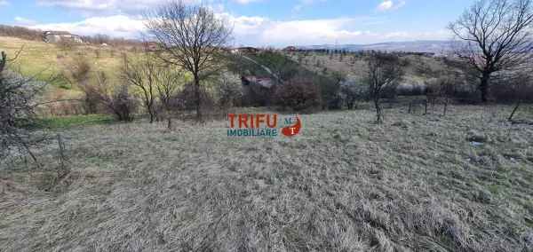 Teren Alba Iulia - poza 6