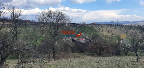 Teren Alba Iulia - poza 7