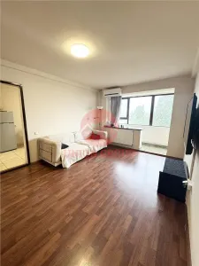 Apartament 2 Foarte Spatios cu Vedere Panoramica - Bulevardul Ferdinand - foto 2