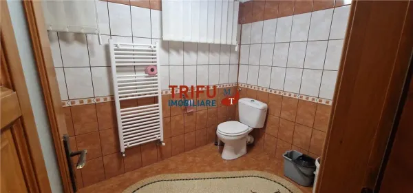 Casă 4 camere Alba Iulia - poza 20