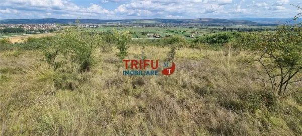 Teren Alba Iulia - poza 1