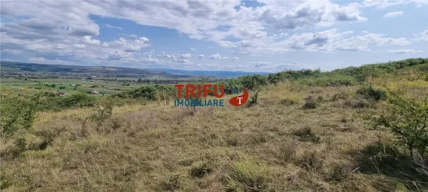 Teren Alba Iulia - poza 3