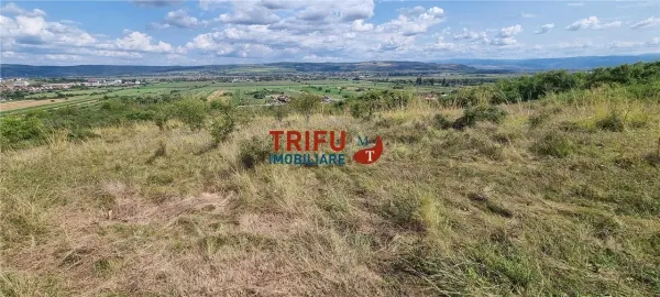 Teren Alba Iulia - poza 4