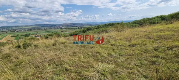 Teren Alba Iulia - poza 5