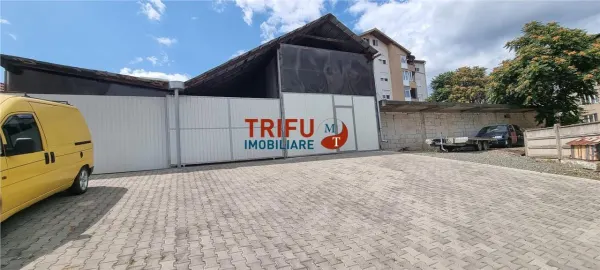Spațiu industrial Alba Iulia - poza 3