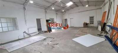 Hala de 140 mp de inchiriat zona Cetate - foto 1