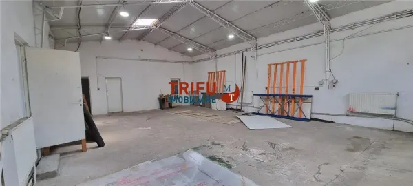 Spațiu industrial Alba Iulia - poza 2