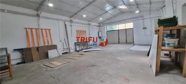 Spațiu industrial Alba Iulia - poza 3