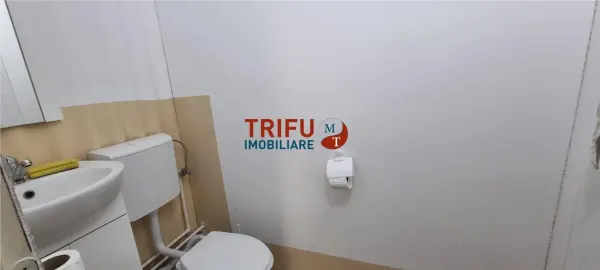 Spațiu industrial Alba Iulia - poza 4