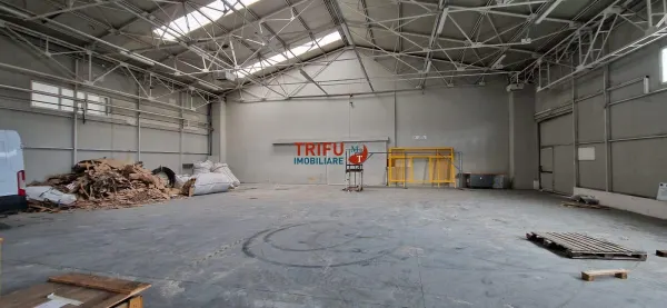 Spațiu industrial Alba Iulia - poza 3