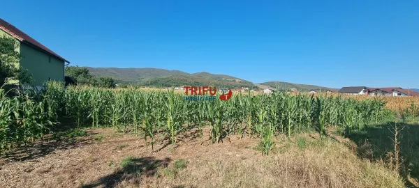 Teren Alba Iulia - poza 1