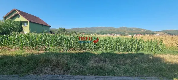 Teren Alba Iulia - poza 2