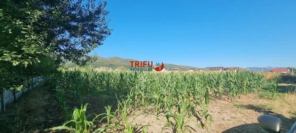 Teren Alba Iulia - poza 3