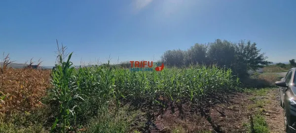 Teren Alba Iulia - poza 6