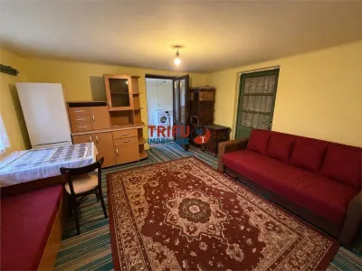 Casa de vanzare 2 camere zona Metes - foto 3
