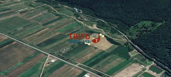 Teren Șard - poza 1