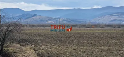 Teren de vanzare zona industriala - foto 6