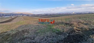 Teren de vanzare Zona Barabant! - foto 5