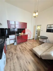 Casa 3 Camere Si Garsoniera in Vila, Zona Centrala - foto 16