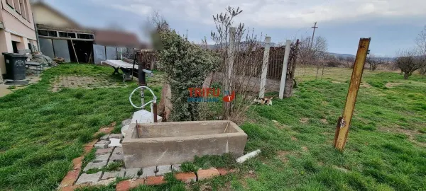 Casă 4 camere Ighiu - poza 2
