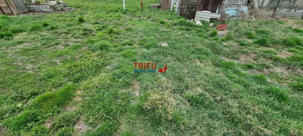 Casă 4 camere Ighiu - poza 4