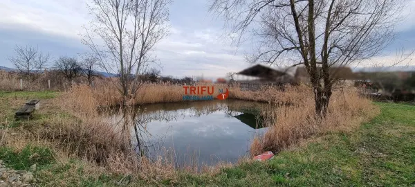 Casă 4 camere Ighiu - poza 5