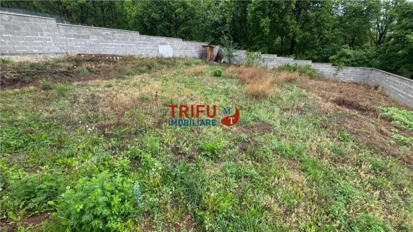 Casă 5 camere Alba Iulia - poza 13