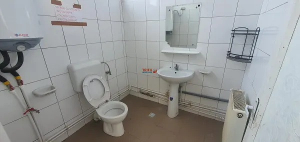 Spațiu industrial Alba Iulia - poza 5