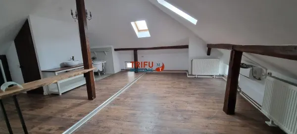 Spațiu comercial Alba Iulia - poza 5