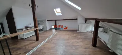 Spatiu comercial de vanzare zona Centru pretabil pentru birouri - foto 5