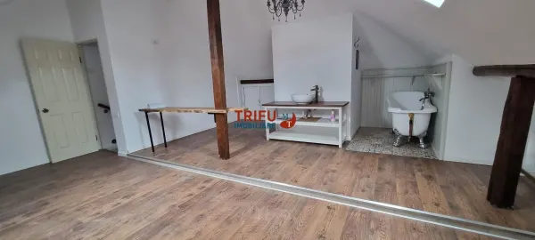 Spațiu comercial Alba Iulia - poza 9