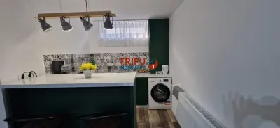 Imobil compus din 3 apartamente si 2 garsoniere - foto 8