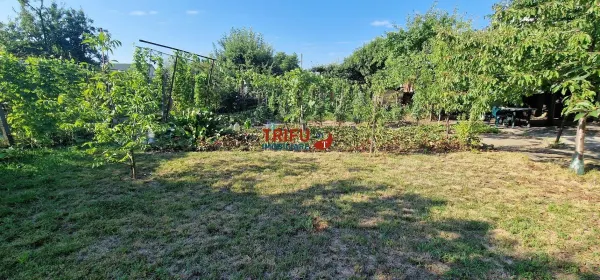 Casă 5 camere Alba Iulia - poza 24