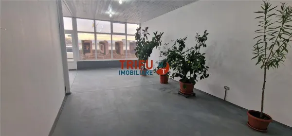 Spațiu comercial Alba Iulia - poza 1