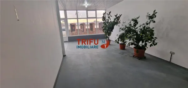 Spațiu comercial Alba Iulia - poza 2