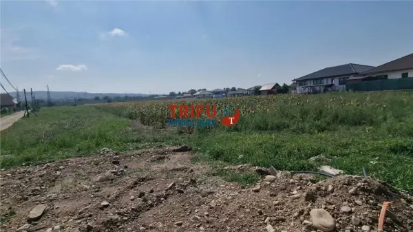 Teren Alba Iulia - poza 2