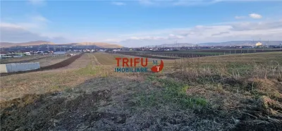 Teren de vanzare zona Barabant - foto 8