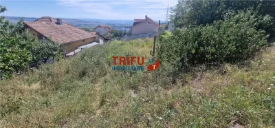 Teren de vânzare zona Schit - foto 4