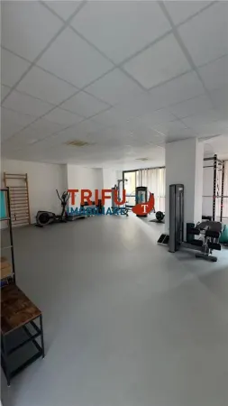 Spațiu comercial Alba Iulia - poza 16