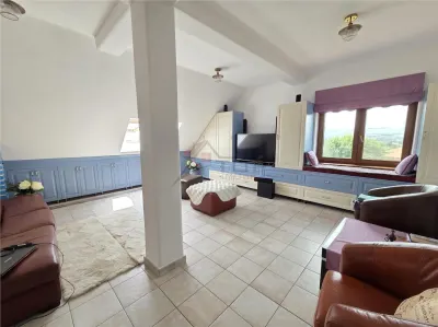 Proprietate Deosebita cu 4600 Mp Teren, 2 Case, Panouri Fotovoltaice si Sera - foto 18