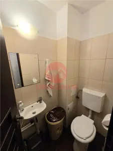 Apartament 3 Camere, Spatios, Parter, Zona Far - foto 18