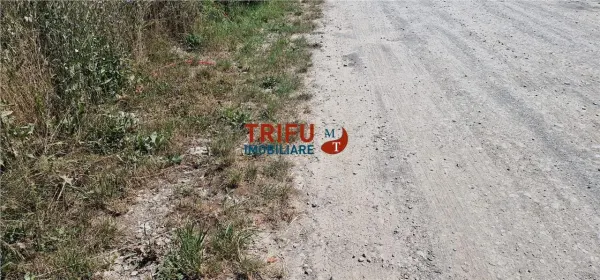 Teren Alba Iulia - poza 8