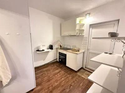Apartament 2 Dormitoare - Pacurari - Copou Str Toma Cozma - foto 5