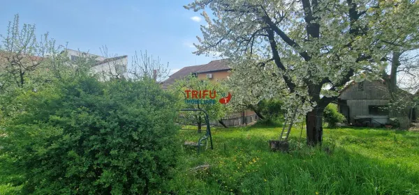 Casă 5 camere Alba Iulia - poza 6